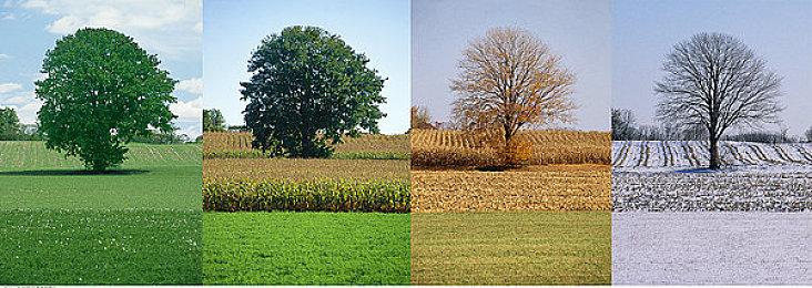 《罪恶装备 奋战》“A.B.A”宣传片公开 3月26日推出