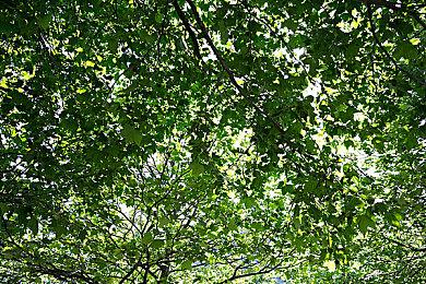 Fami通11月日本销量榜：Switch依然是最热主机